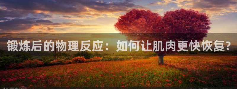 锻炼后的物理反应：如何让肌肉更快恢复?