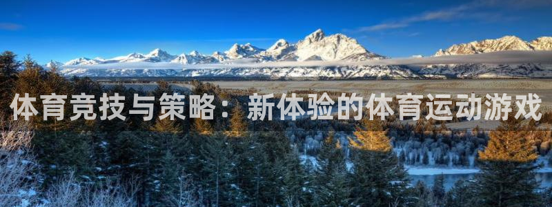 体育竞技与策略：新体验的体育运动游戏