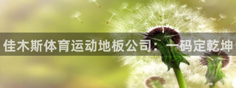 佳木斯体育运动地板公司：一码定乾坤