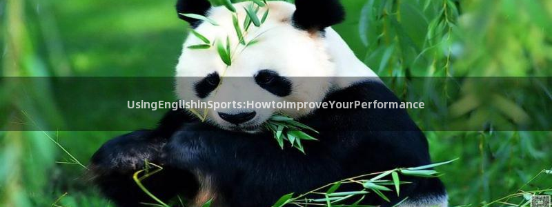 UsingEnglishinSports:HowtoImproveYourPerformance