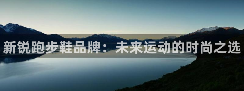 新锐跑步鞋品牌：未来运动的时尚之选
