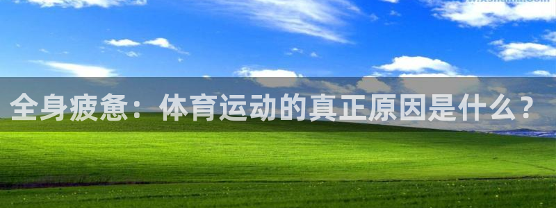全身疲惫：体育运动的真正原因是什么？
